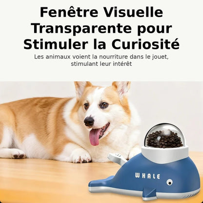distributeur de croquette stimilant whale bleue