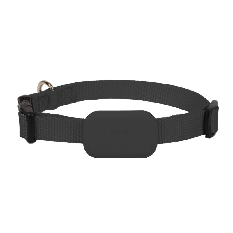 Le Collier Anti-Fugue de Rocky – Parce que Ton Animal N’a Pas le Droit de Disparaître 🐾📶