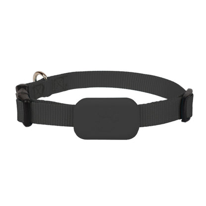 Le Collier Anti-Fugue de Rocky – Parce que Ton Animal N’a Pas le Droit de Disparaître 🐾📶