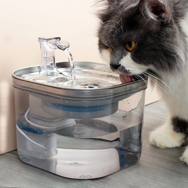 chat fontaine à eau rockylaidbeau.com