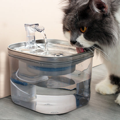 chat fontaine à eau rockylaidbeau.com