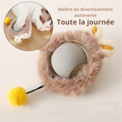 jeux anti ennui balle souris queue grise
