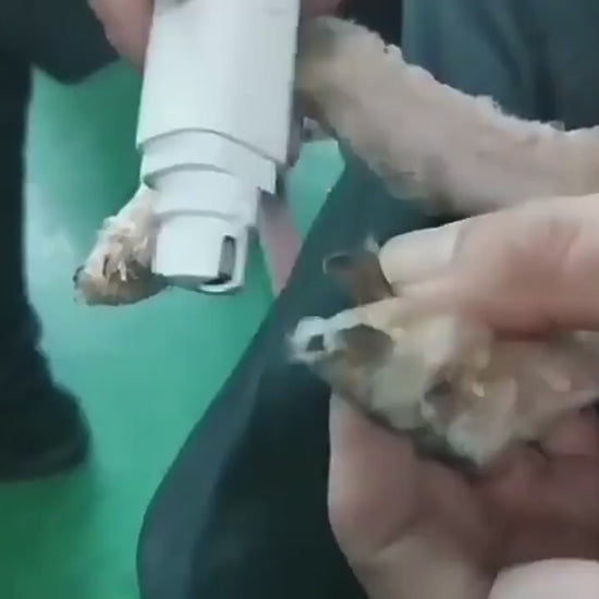 Vidéo Lime à ongle électrique