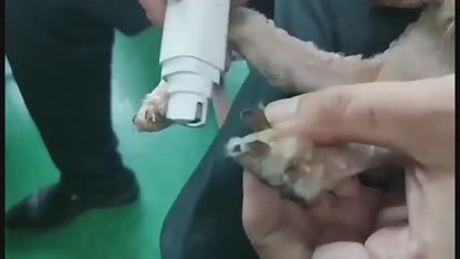 Vidéo Lime à ongle électrique