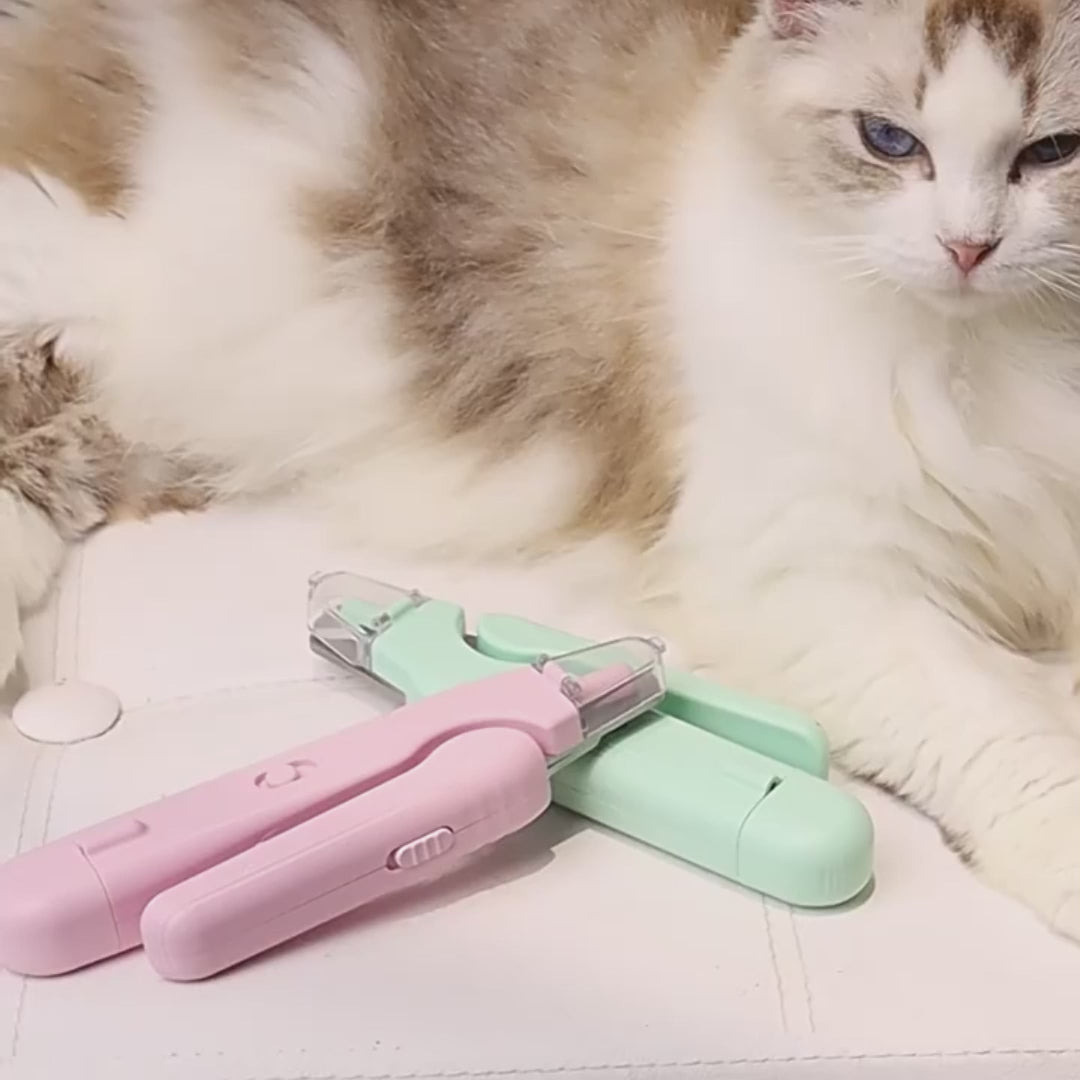 Vidéo Coupe ongle pour animaux 2 en 1 rockylaidbeau