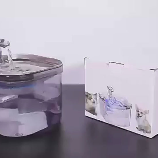 chat mode d'emploi fontaine à eau rockylaidbeau