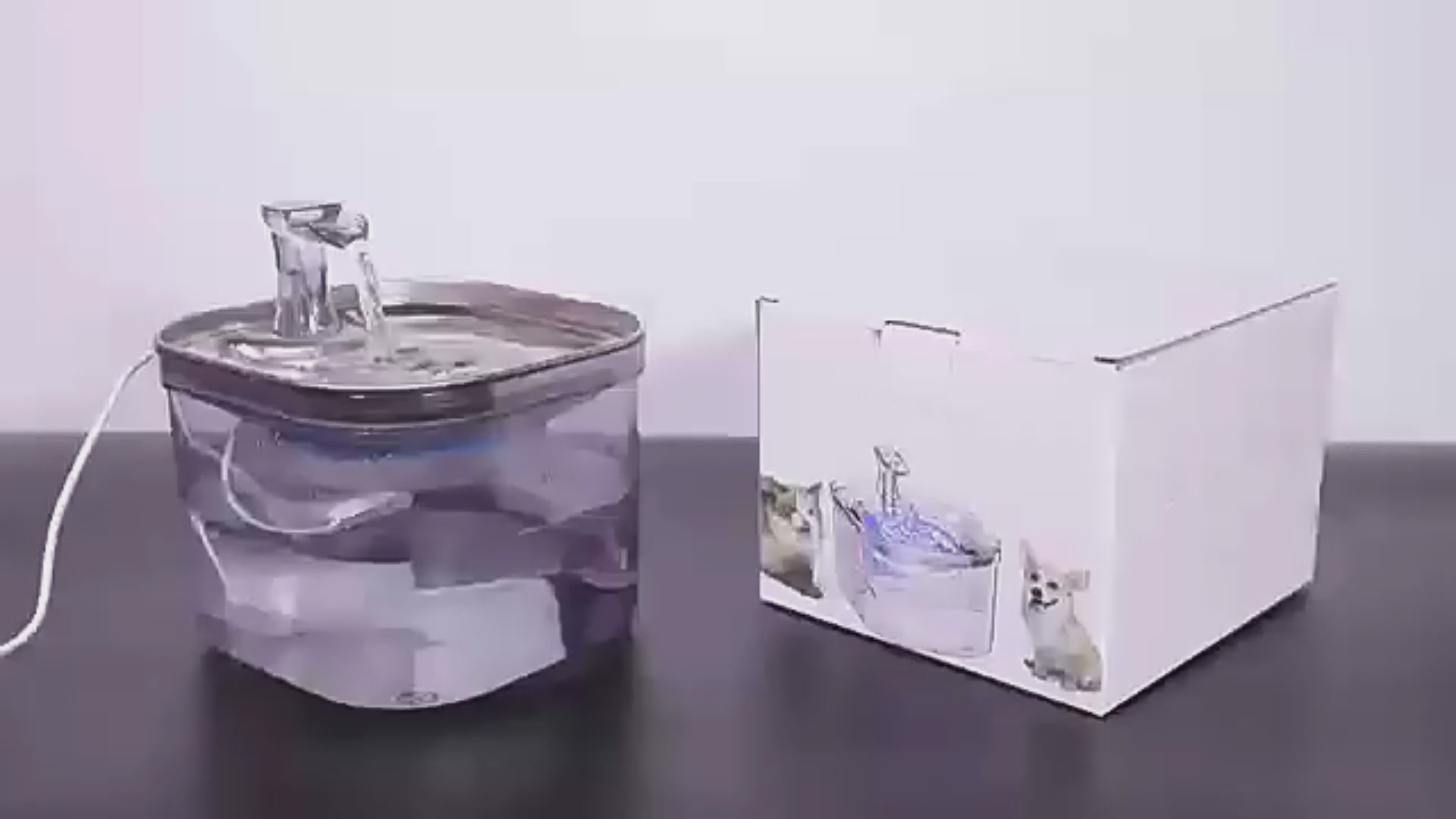 chat mode d'emploi fontaine à eau rockylaidbeau