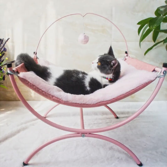 Le Fauteuil Royal de Rocky – Parce que Ton Chat Mérite un Trône 🐈🐾