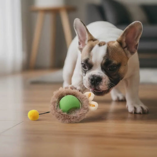 Balle Interactive pour Chat – Jouet Anti-Ennui en Silicone