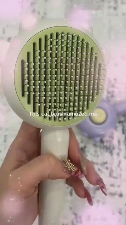 video  Brosses auto nettoyante verte rockylaidbeau