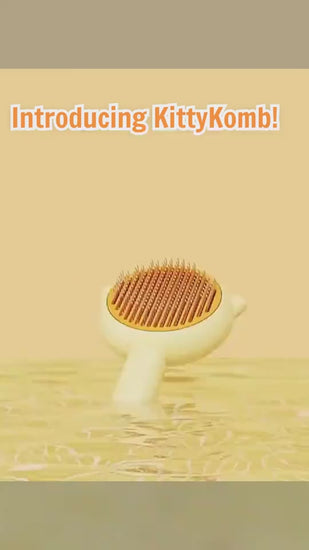 Vidéo  Brosses auto nettoyante rockylaidbeau