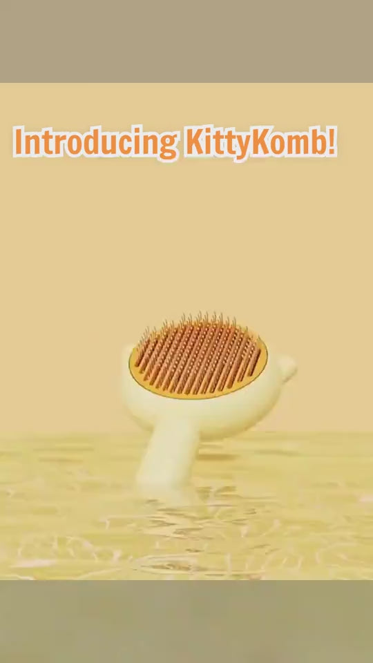 Vidéo  Brosses auto nettoyante rockylaidbeau