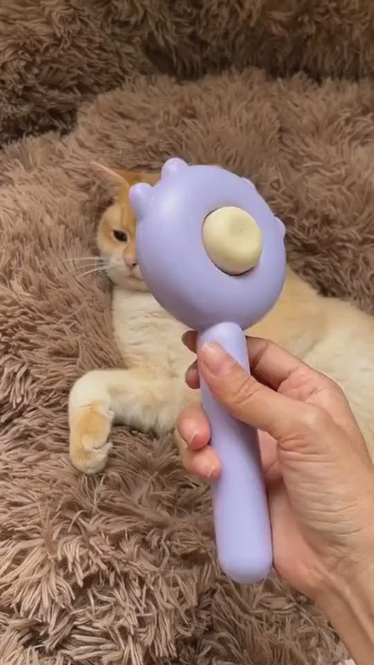 Vidéo  Brosses auto nettoyante bleu rockylaidbeau
